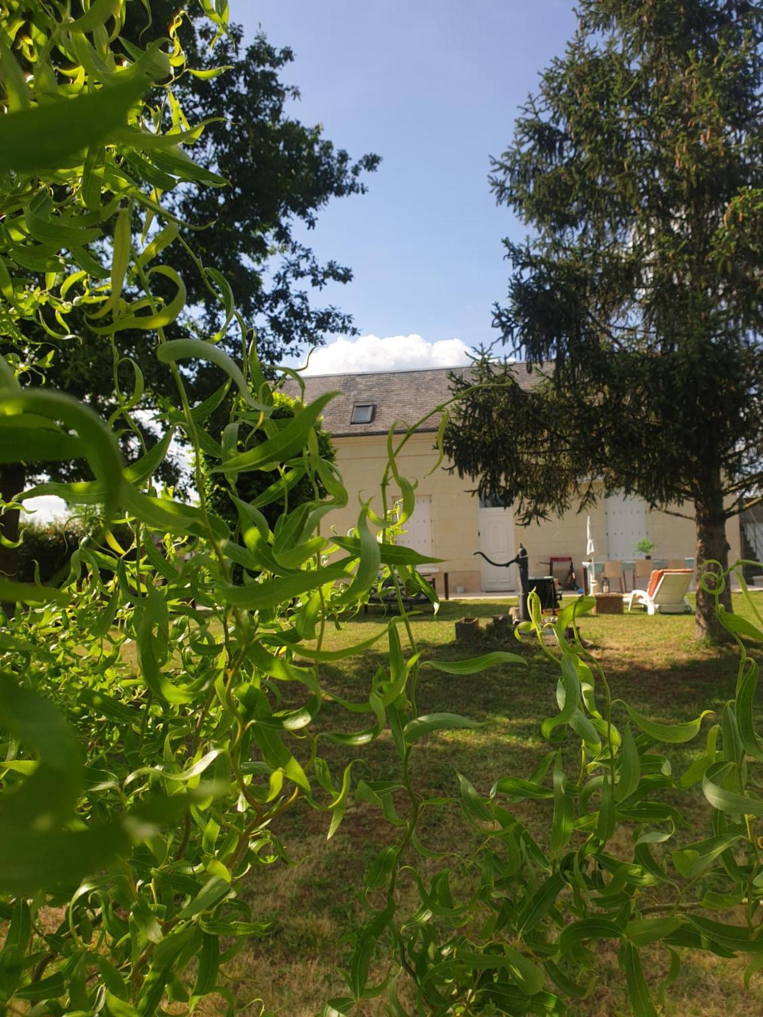 Gite Au Coeur De La Touraine La Chapelle-sur-Loire Zewnętrze zdjęcie